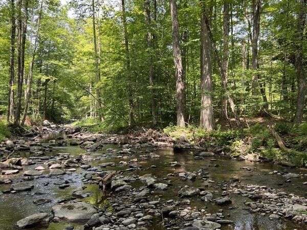 0 Ny-22 , Austerlitz, NY 12017