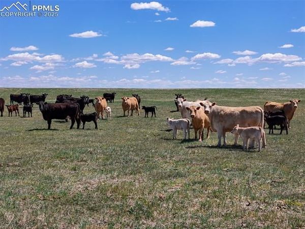 18497 County Road 197, Limon, CO 80828