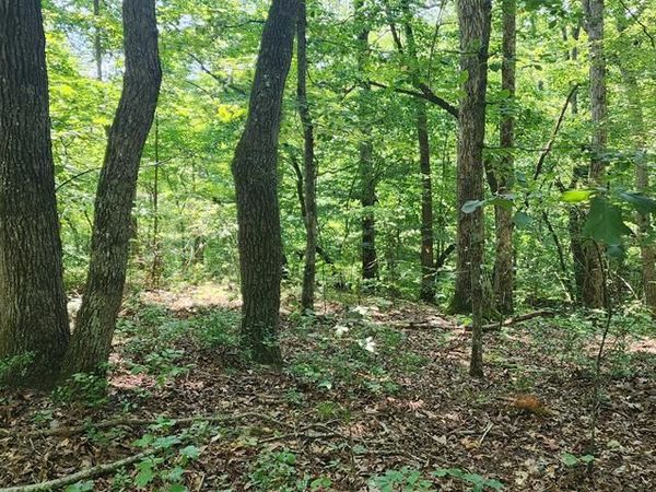 000 Redbud Rd, Sugar Tree, TN 38380