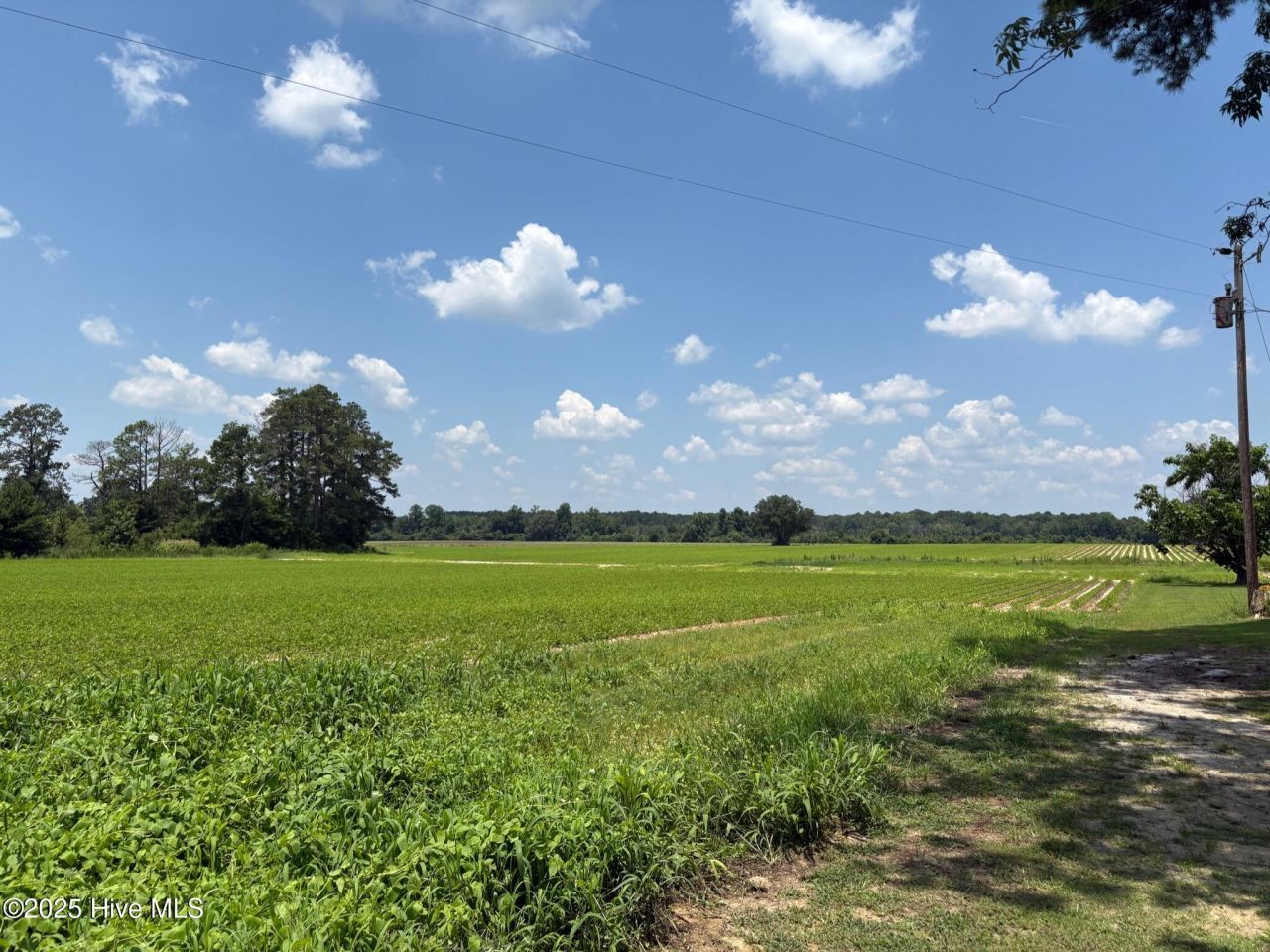 0 Near James B White Highway N, Clarkton, NC 28433 Main Photo