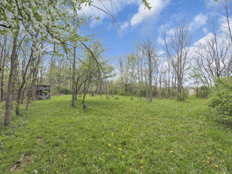 12345 Cherry Lane, Millersport, OH 43046 Photo 42