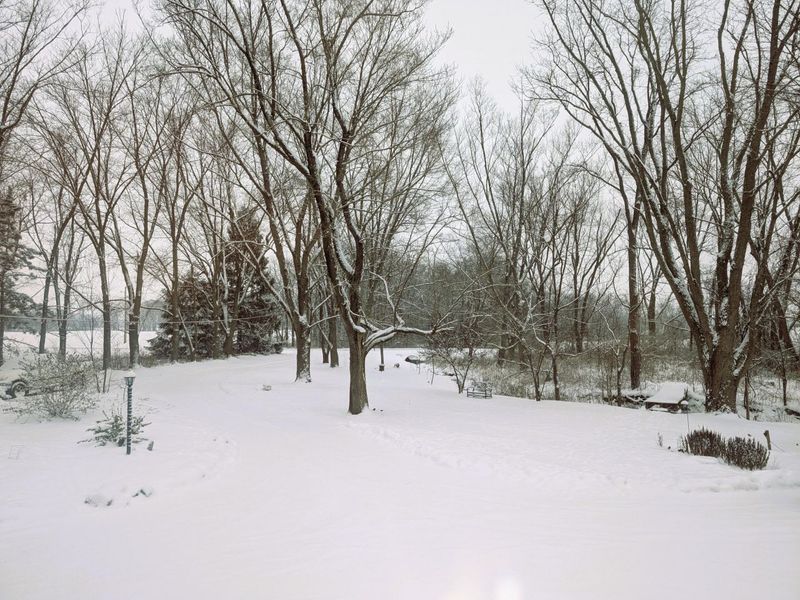 12345 Cherry Lane, Millersport, OH 43046 Photo 51