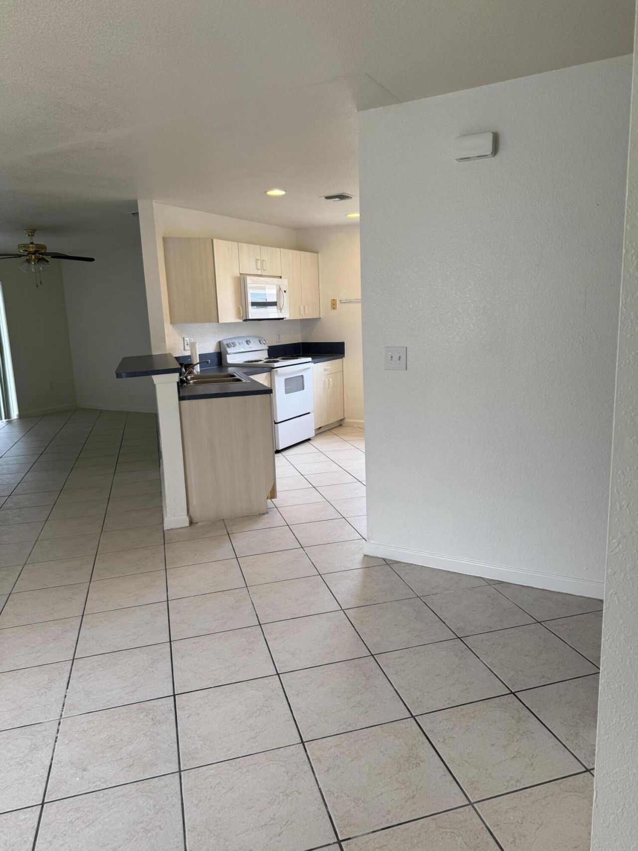 1364 Climbing Rose Lane, West Palm Beach, FL 33415 Photo
