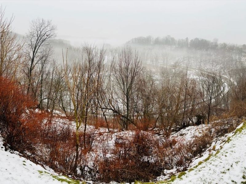 18875 Riversouth Terrace, Unit 35, Fairview Park, OH 44126 Photo 35