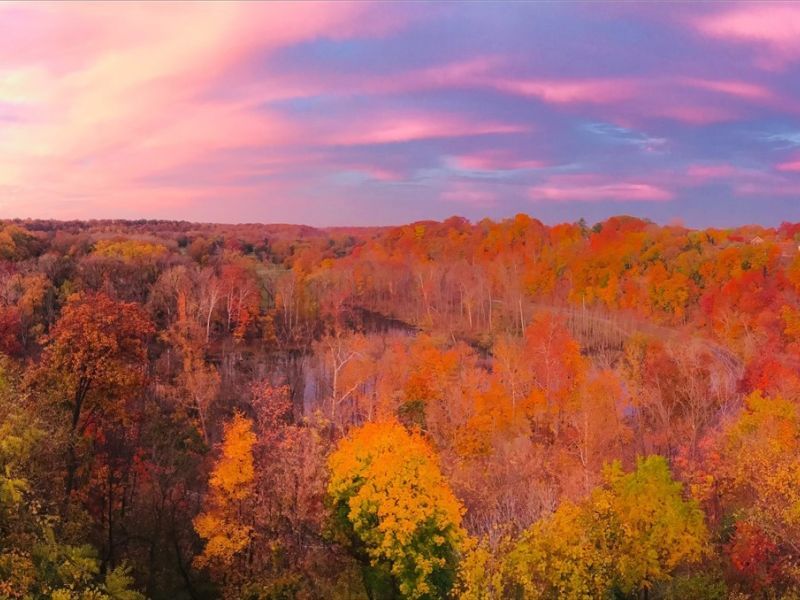 18875 Riversouth Terrace, Unit 35, Fairview Park, OH 44126 Photo 36