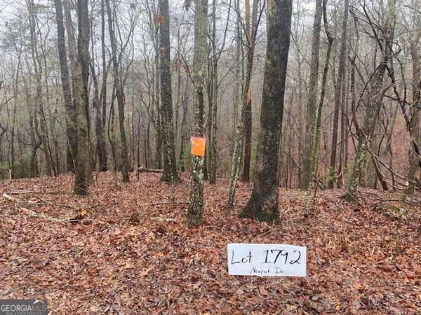 3190 Newport Drive, East Ellijay, GA 30540