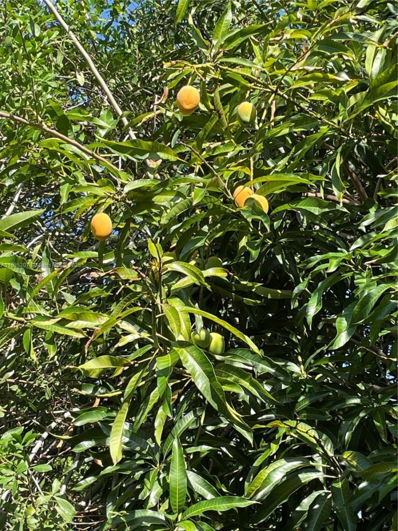 156 S NE 11th Street, Boca Raton, FL 33432 Photo