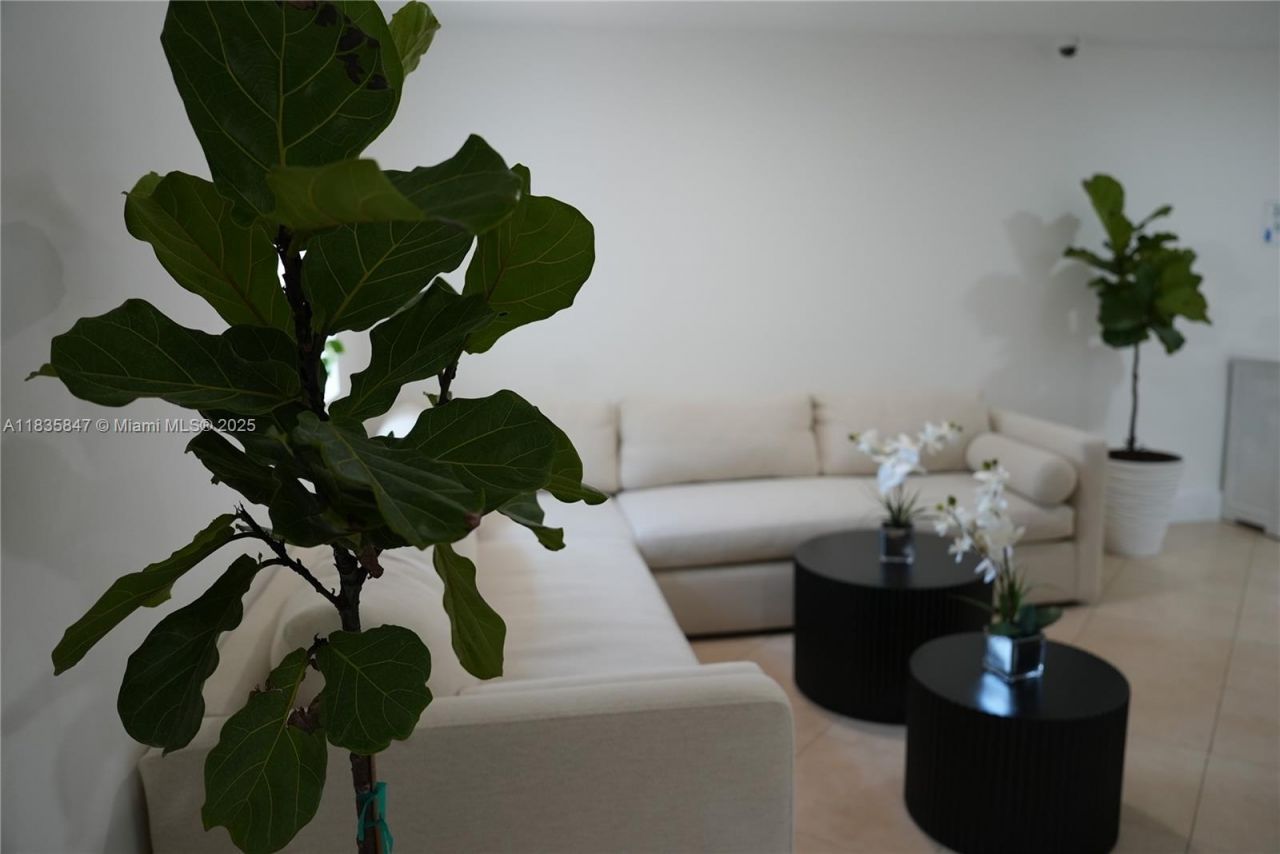 Please Call For Address, Hollywood, FL 33020 Photo