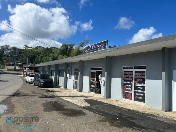 Km 17.7 CARR 156, Barranquitas, PR 00794