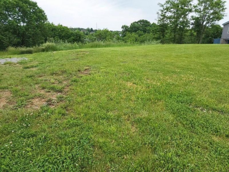305 Eagle Ridge Drive, Dry Ridge, KY 41035 Photo 3