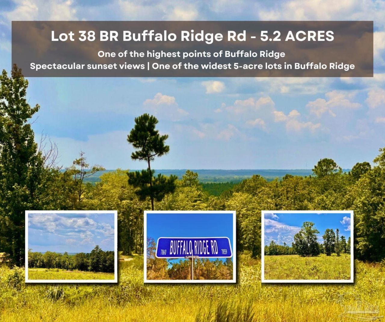 Lot 38 Br Buffalo Ridge Rd, Pace, FL 32571 Main Photo