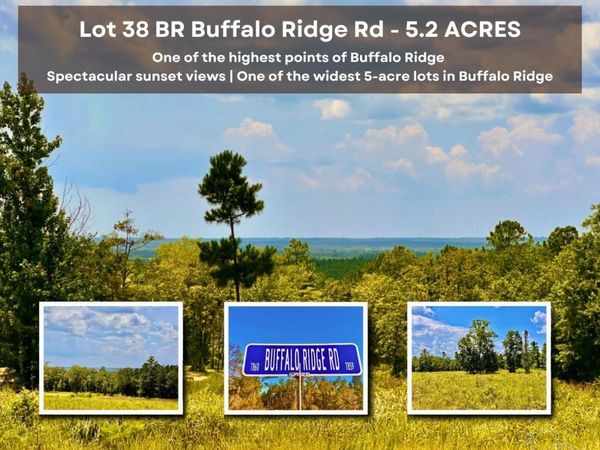 Lot 38 BR Buffalo Ridge Rd, Pace, FL 32571