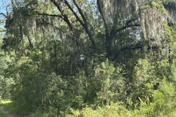 5856 Martin Street Street photo 4