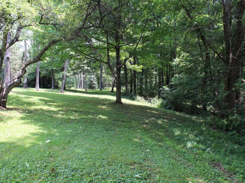 8870 Olentangy River Road, Delaware, OH 43015 Photo 23
