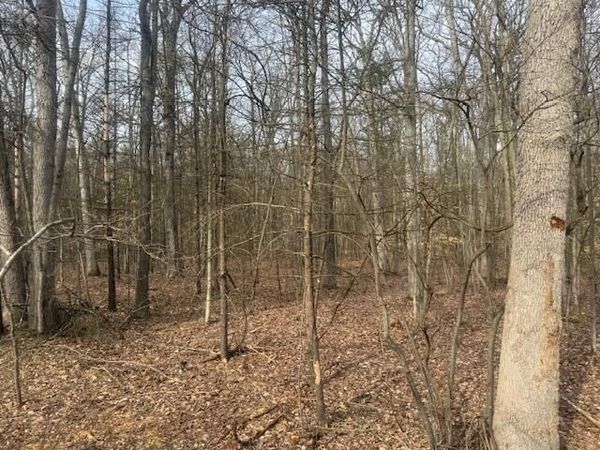 0 E Meinert Road, Holton, MI 49425