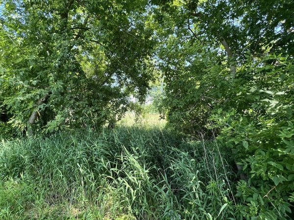 35025 N Ingleside Drive, Ingleside, IL 60041