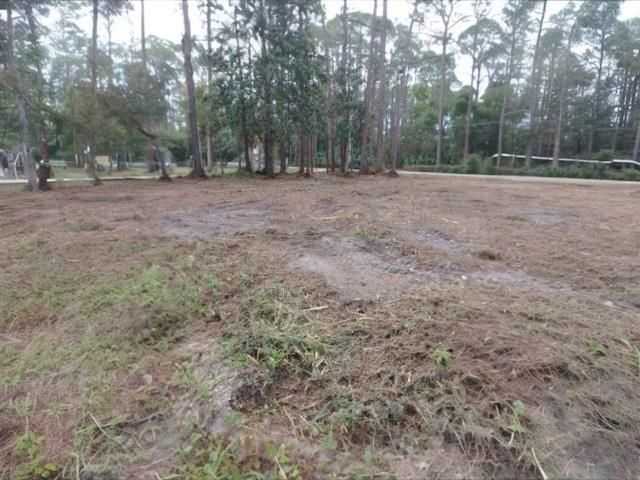 11-13 Levy Bay Rd, Panacea, FL 32346 Photo