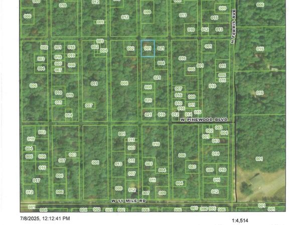 0 Ferris Avenue, Bitely, MI 49309