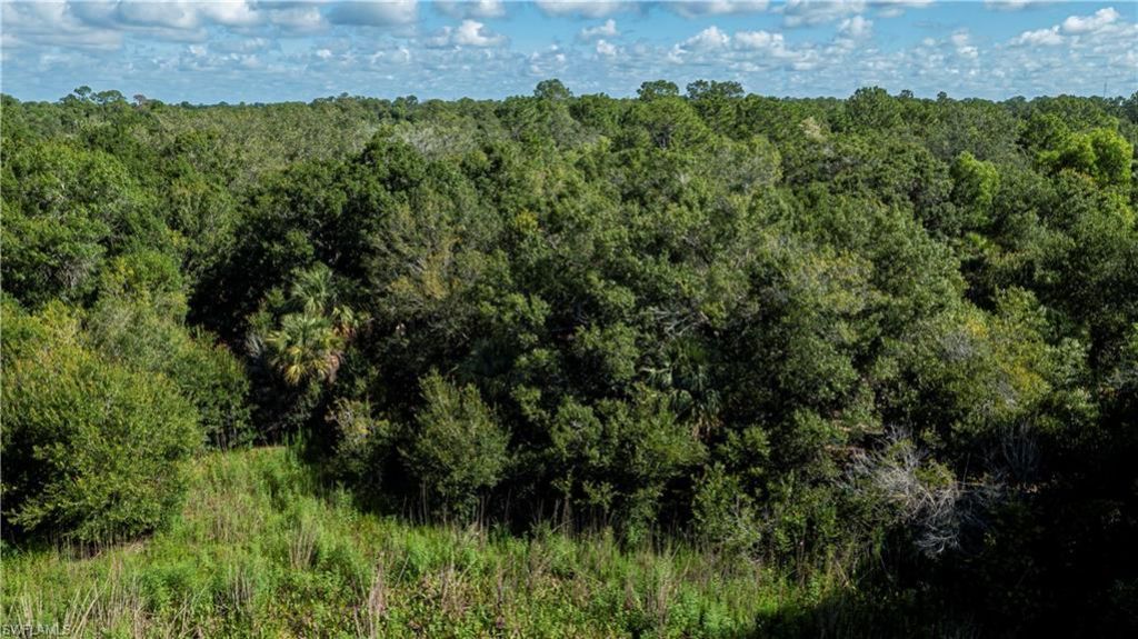 2001 E 5th St, Lehigh Acres, FL 33936 Photo