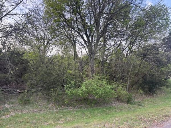 0000 Private Road 1212, Kopperl, TX 76652