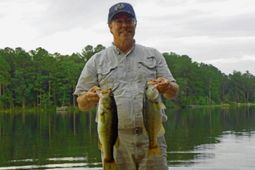 813 Edisto Lake Road photo 4