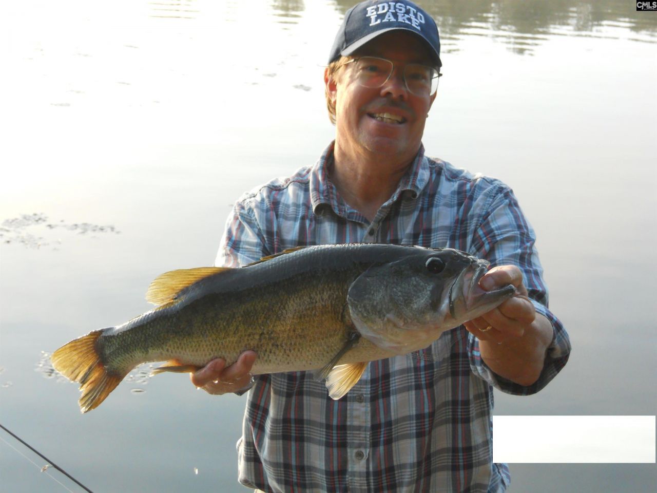 813 Edisto Lake Road Photo 57