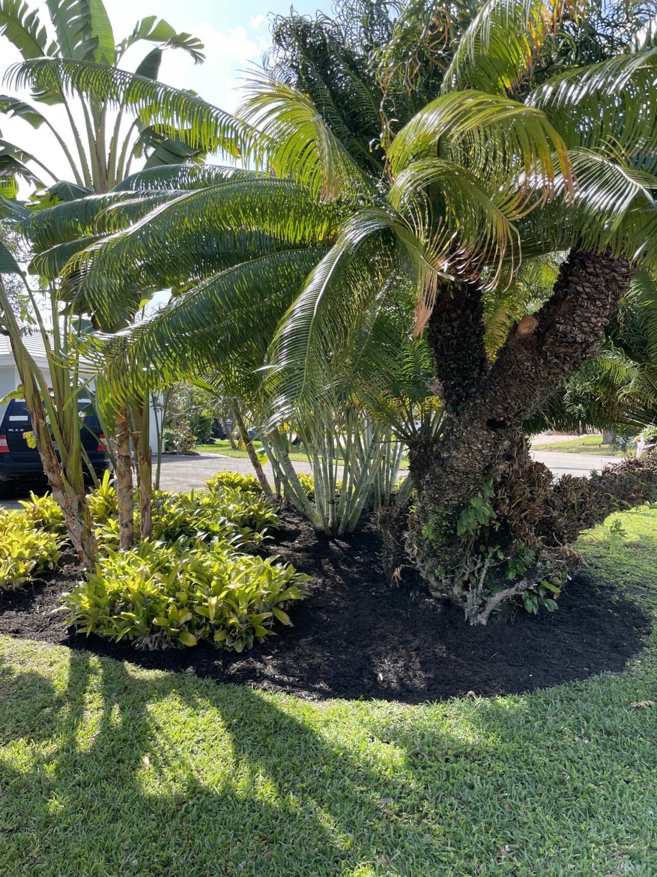 299 NW 10th Court, Boca Raton, FL 33486 Photo