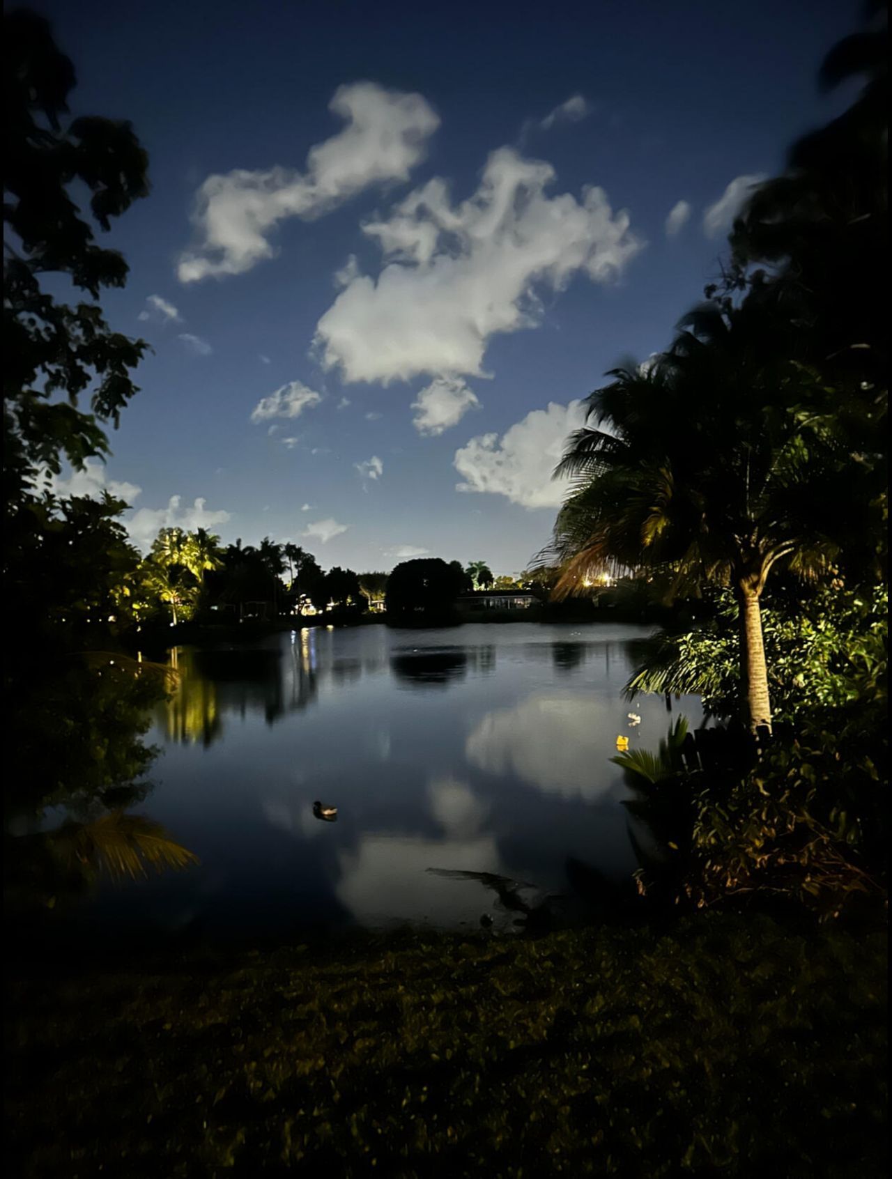 299 NW 10th Court, Boca Raton, FL 33486 Photo