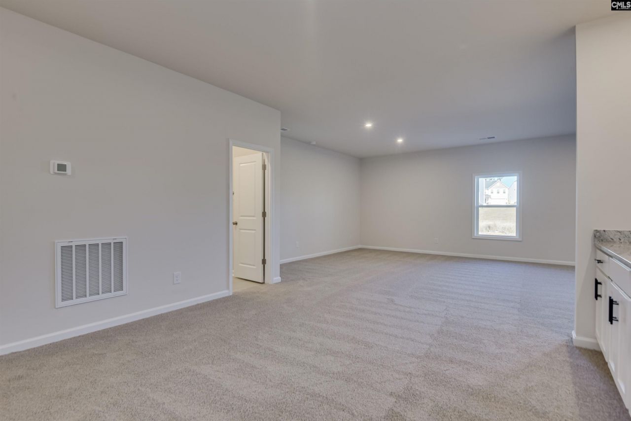 326 Chapin Place Way Photo 20