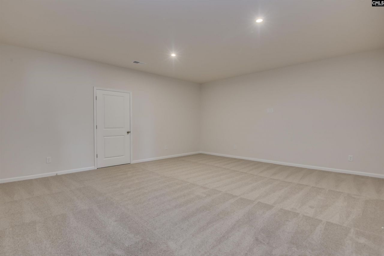 326 Chapin Place Way Photo 21