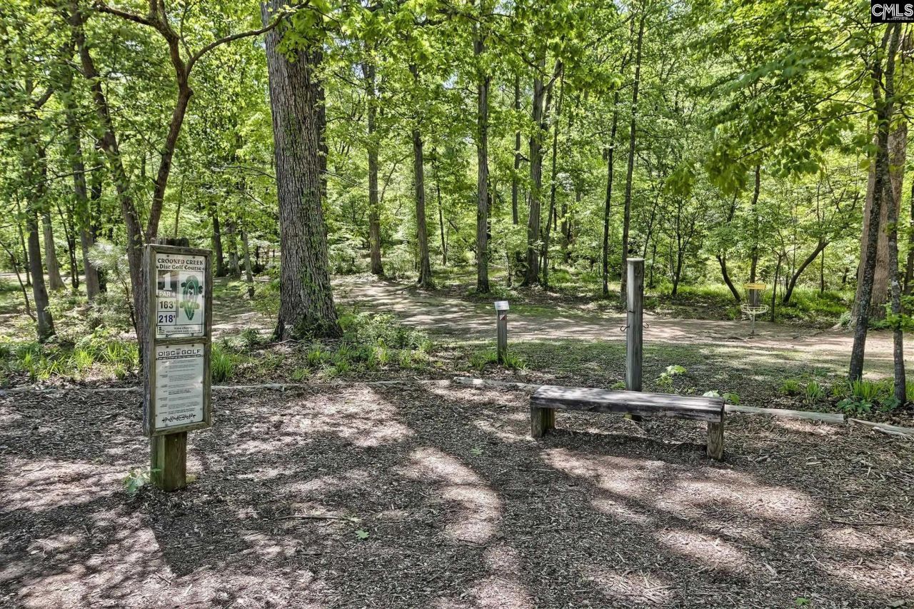 326 Chapin Place Way Photo 42