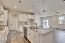 326 Chapin Place Way photo 4