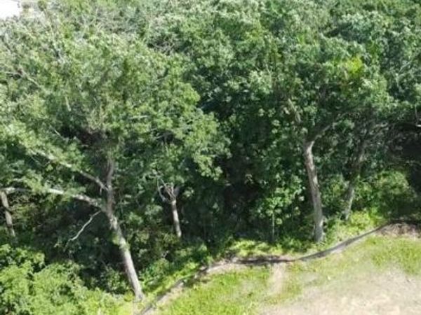 1273 Retreat Circle, Verona, WI 53593