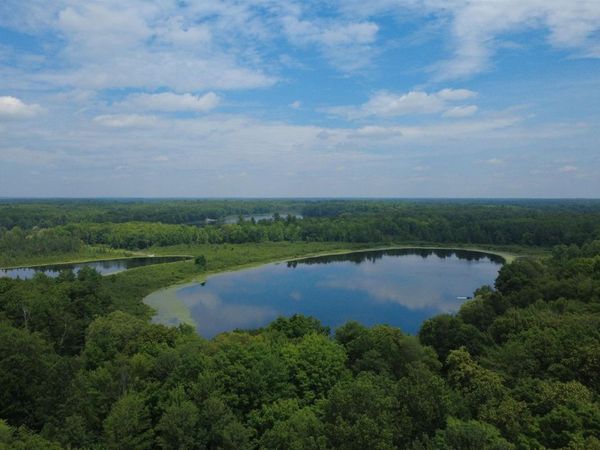 Maple Ridge Drive, Lupton, MI 48635