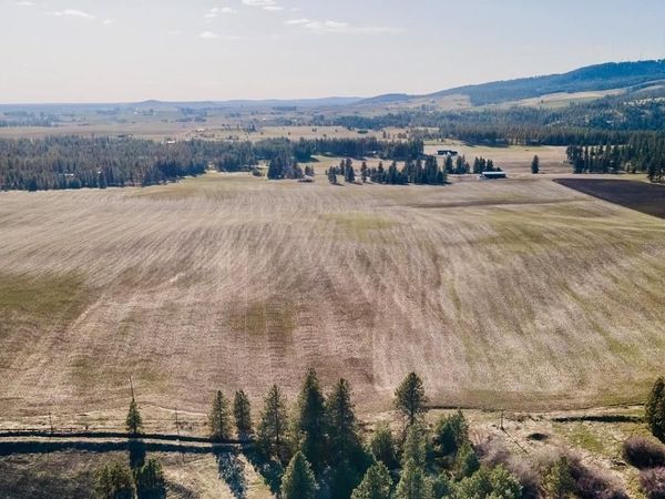 13507 E Gibbs Rd, Mica, WA 99023