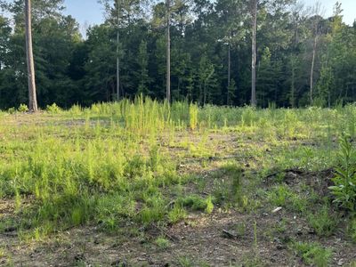 3171 Queens Way, Orangeburg, SC 29118