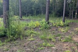 3171 Queens Way photo 4