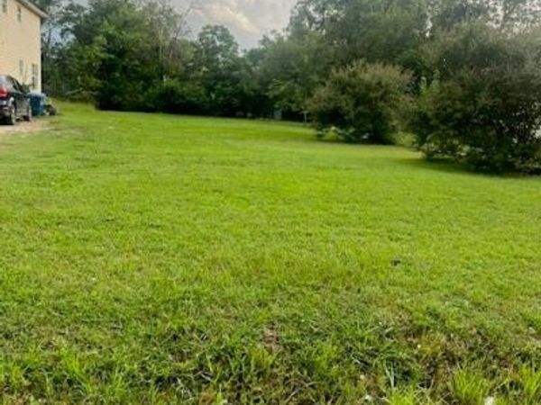 420 Campbell Street, Terrell, TX 75160
