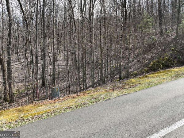 65 St Andrews Way, Ellijay, GA 30536