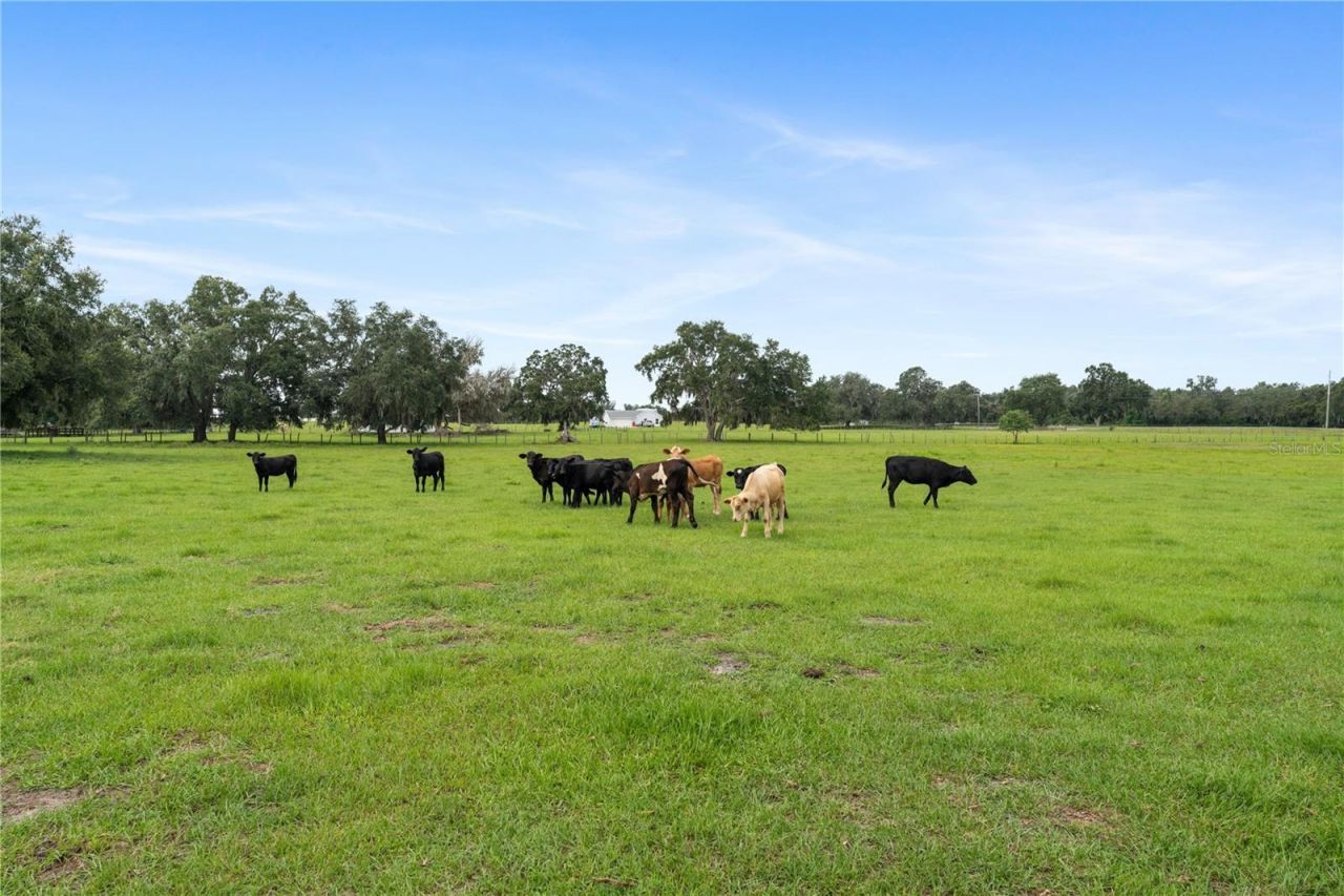 1877 C 478a, Webster, FL 33597 Photo