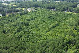 Tbd Elbow Rd. photo 4