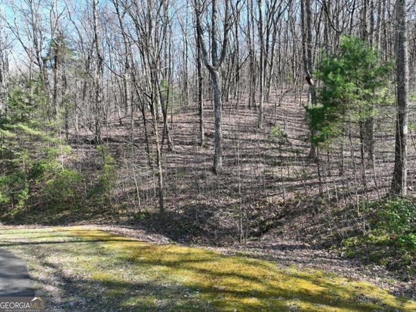 66 St Andrews Way, Ellijay, GA 30536
