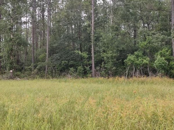 Ms-43 N, Picayune, MS 39466