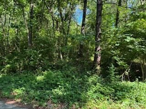 4 Lilac Lane, Grand Beach, MI 49117