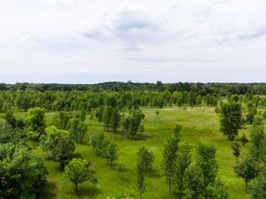 Lot 2 Rutten Lane NE, Carlos, MN 56319