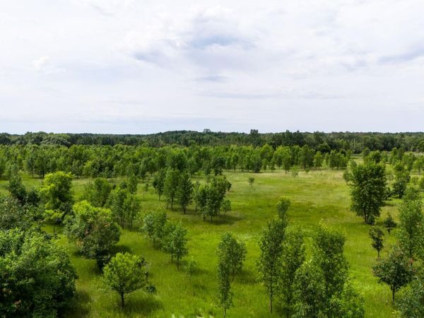 Lot 2 Rutten Lane NE, Carlos, MN 56319