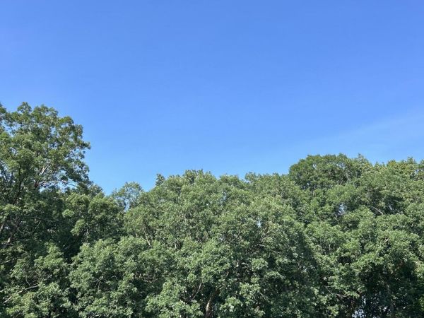 1 Lilac Lane, Grand Beach, MI 49117