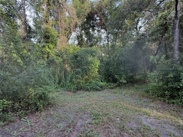 12300 WALTER STREET, HUDSON, FL 34669
