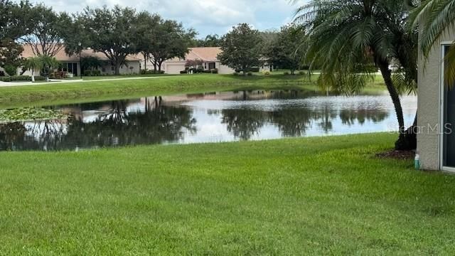 8228 Simpson Falls Court, Sarasota, FL 34243 Photo