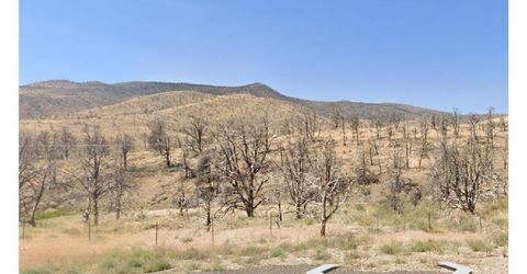 Tbd Devenpeck Drive, Lot #1.2.3, Double Spring, NV 89410 Photo